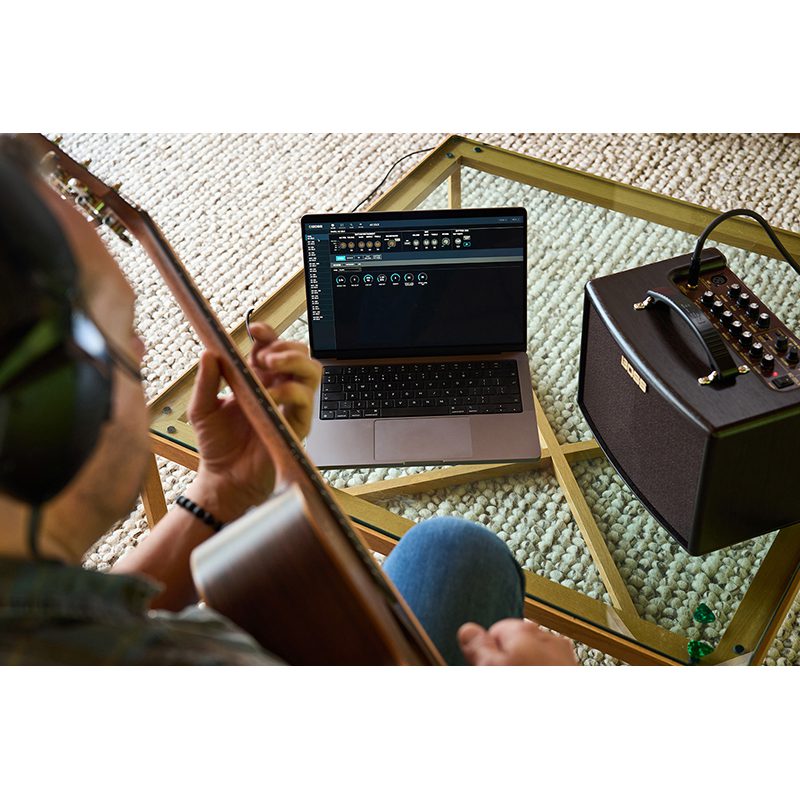 BOSS AC-22LX Acoustic Amplifier - Image 7
