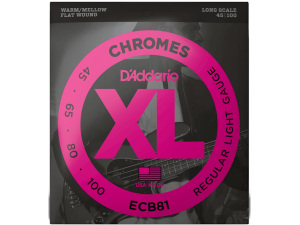 D'addario Chromes ECB81 45-100 Regular Light Flat Wound Bass Guitar Strings