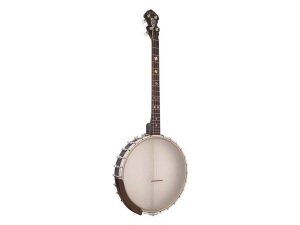 Gold Tone IT-19 - 19 Fret Tenor Banjo