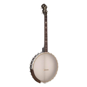Gold Tone IT-19 - 19 Fret Tenor Banjo