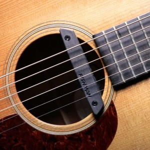 Fishman Rare Earth Magnetic Soundhole Pickup - Humbucker