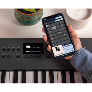 Roland - GO:KEYS 5 - White w/Keyboard Stand