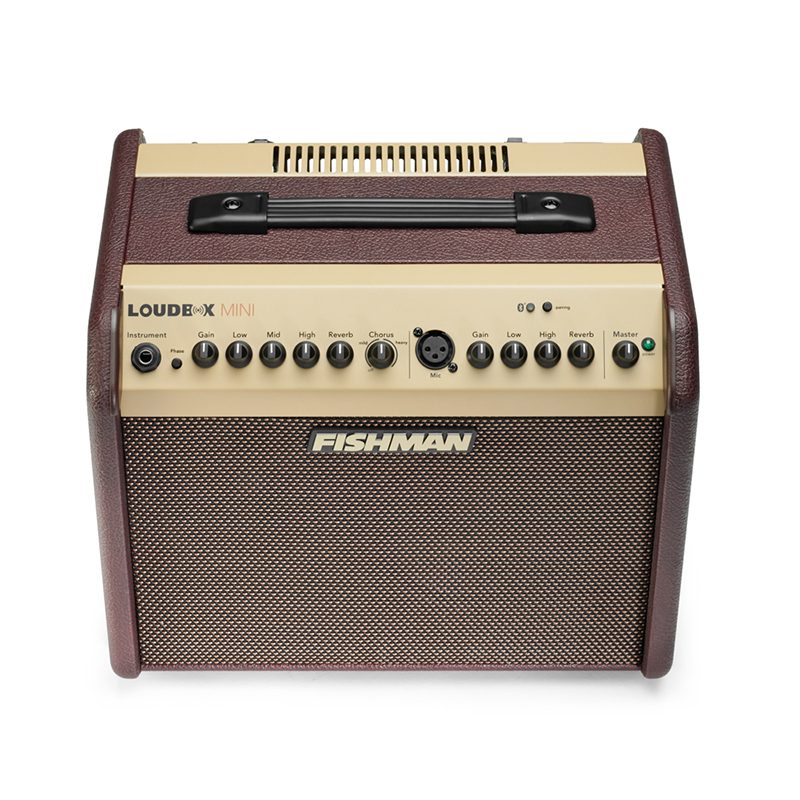 Fishman Loudbox Mini - Acoustic Amplifier - Image 3