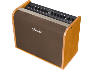 Fender Acoustic 100