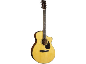 Martin SC-18E w/LR Baggs Anthem