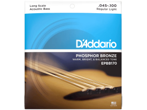 D'addario EPBB170 45-100 Regular Light Long Scale Acoustic Bass Strings