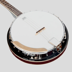 Heartland BNJ4-17 4-String Tenor Banjo - 17 Fret