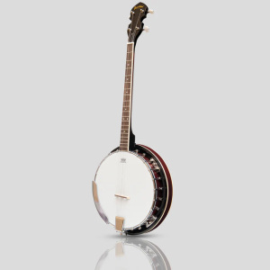 Heartland BNJ4-19 4-String Tenor Banjo - 19 Fret