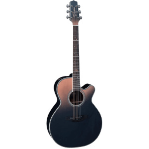 Takamine LTD 2024