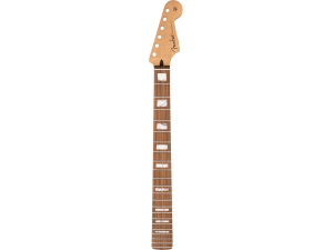 Fender Player Series Stratocaster Neck w/Block Inlays - 22 MJ Frets - Pau Ferro