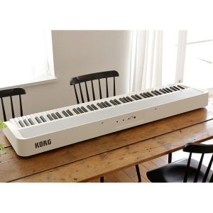 KORG B2 Black - Digital Piano w/Double Braced Keyboard Stand