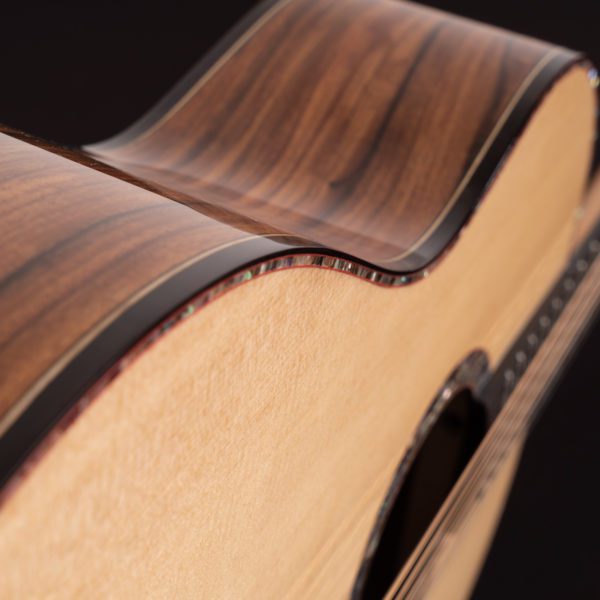Washburn Elegante S24S - Bella Tono - Studio Acoustic Guitar - Gloss Natural - Image 9