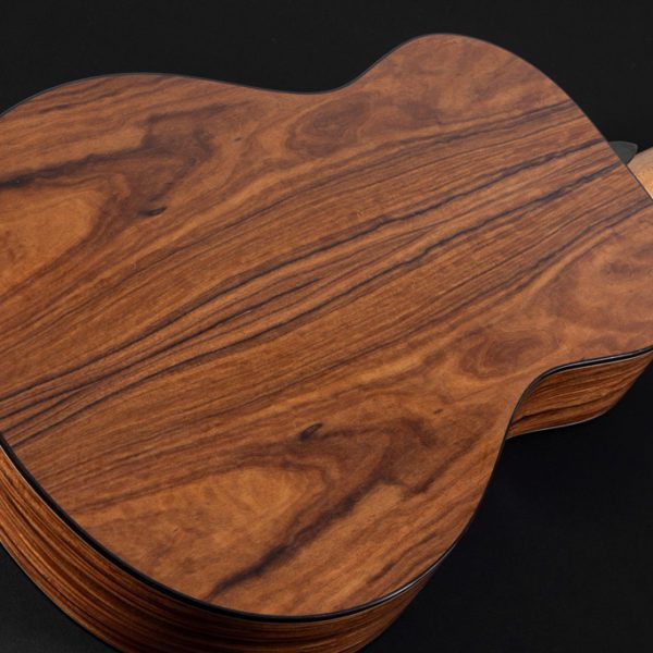 Washburn Elegante S24S - Bella Tono - Studio Acoustic Guitar - Gloss Natural - Image 7