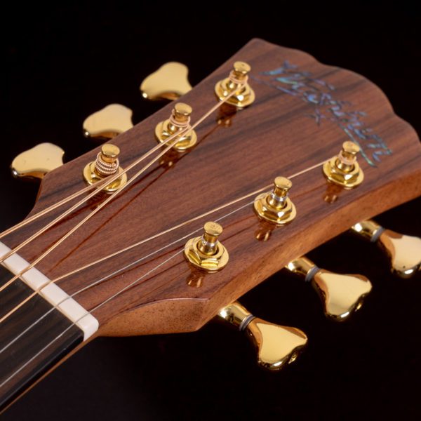 Washburn Elegante S24S - Bella Tono - Studio Acoustic Guitar - Gloss Natural - Image 6