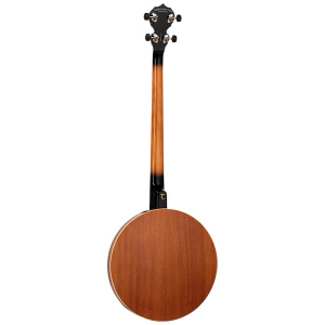 Tanglewood TUB4 - Union Series Tenor Banjo