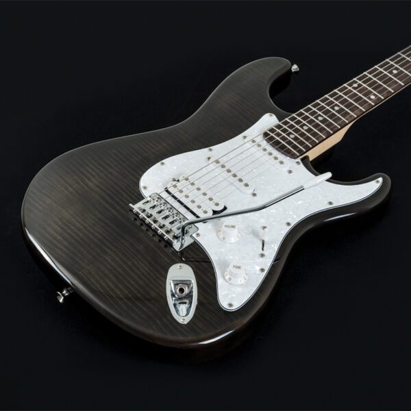 Washburn SDFTB Sonamaster Deluxe - Transparent Black - Image 3