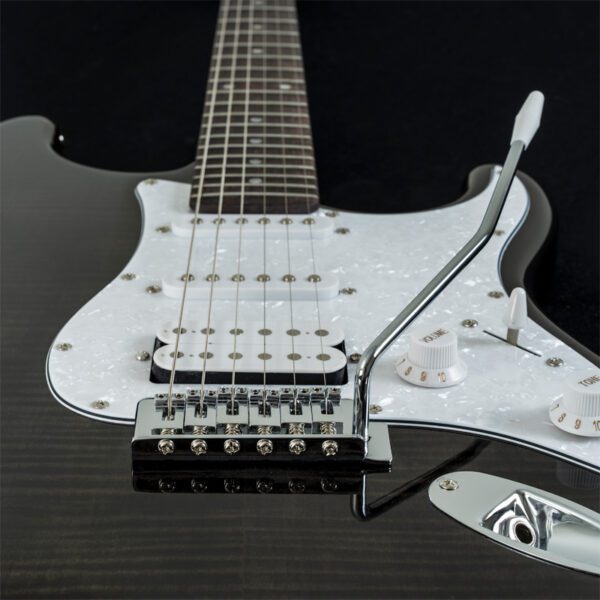 Washburn SDFTB Sonamaster Deluxe - Transparent Black - Image 4