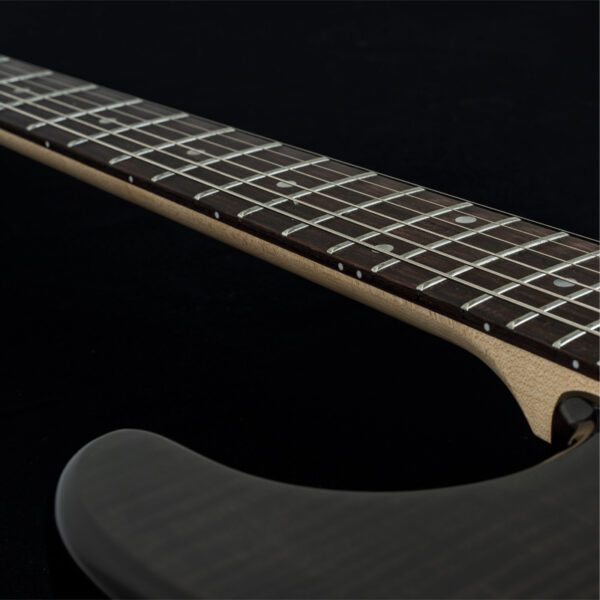 Washburn SDFTB Sonamaster Deluxe - Transparent Black - Image 6
