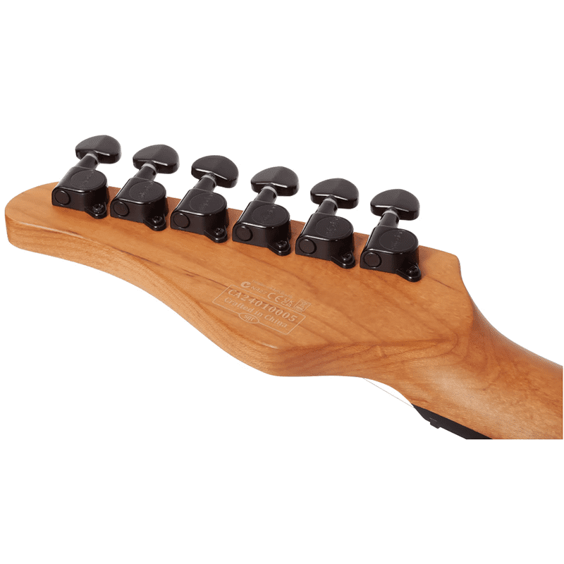 Schecter PT Standard - Black Fade Burst Burl