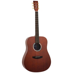 Tanglewood Elemental Series - TE5BL - Mahogany