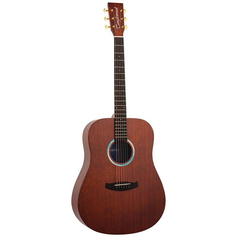 Tanglewood Elemental Series - TE5BL - Mahogany