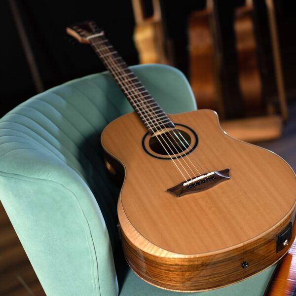 Washburn SC40SCE Bela Tono Suprema