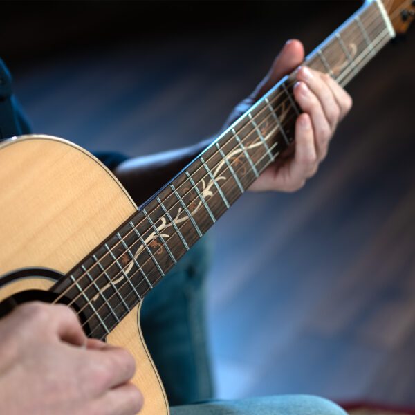 Washburn SC40SCE Bela Tono Suprema - Image 7