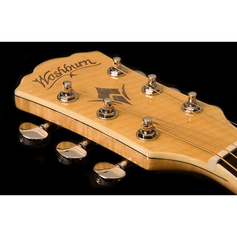 Washburn EA-20 - Natural
