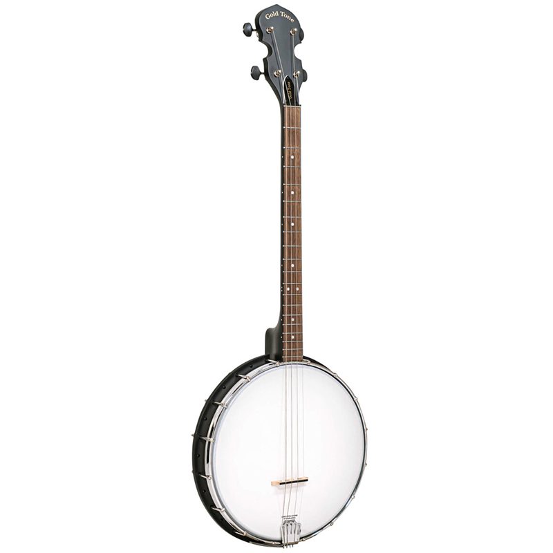 Gold Tone AC-4 IT - 4-String Tenor Banjo