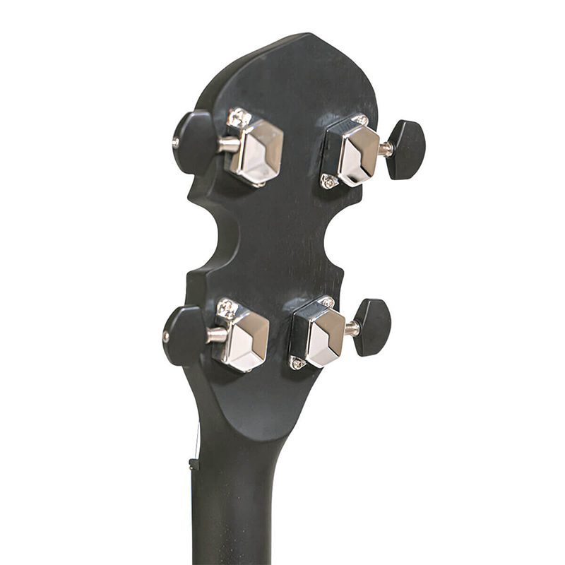 Gold Tone AC-4 IT - 4-String Tenor Banjo - Image 6