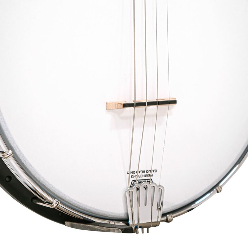 Gold Tone AC-4 IT - 4-String Tenor Banjo - Image 7