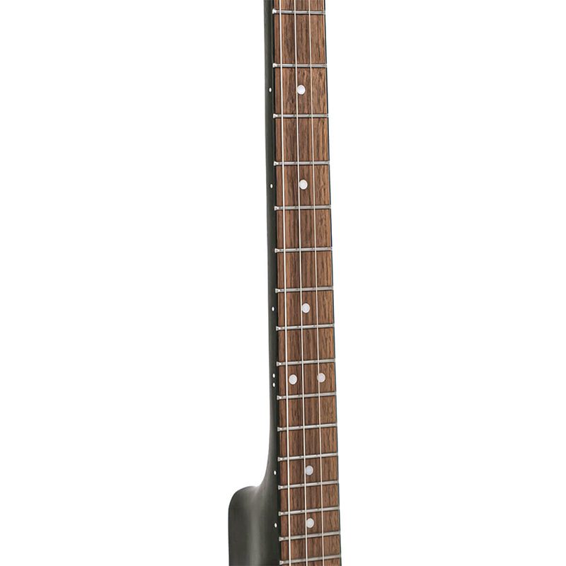 Gold Tone AC-4 IT - 4-String Tenor Banjo - Image 8