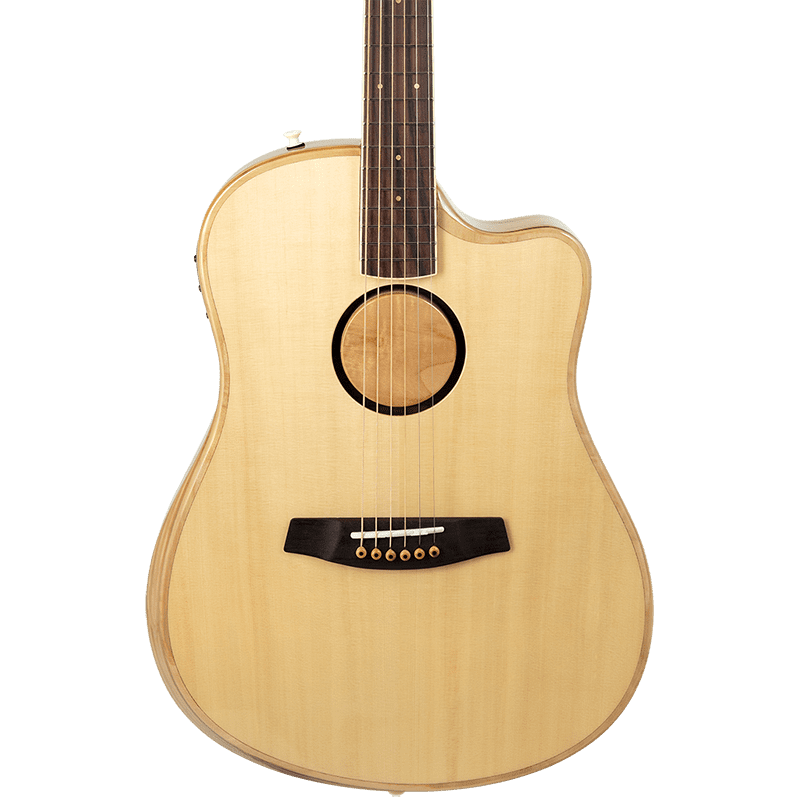 LR Baggs AEG-1 Acoustic-Electric Guitar - Image 5