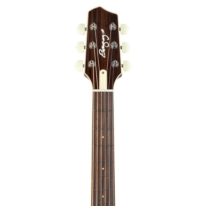 LR Baggs AEG-1 Acoustic-Electric Guitar