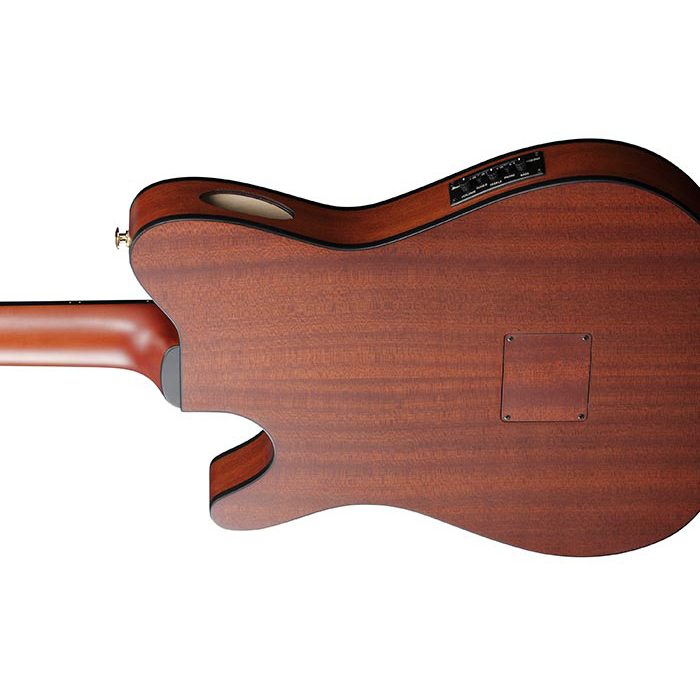 Ibanez FRH10N - Slim Body Nylon String - Image 5