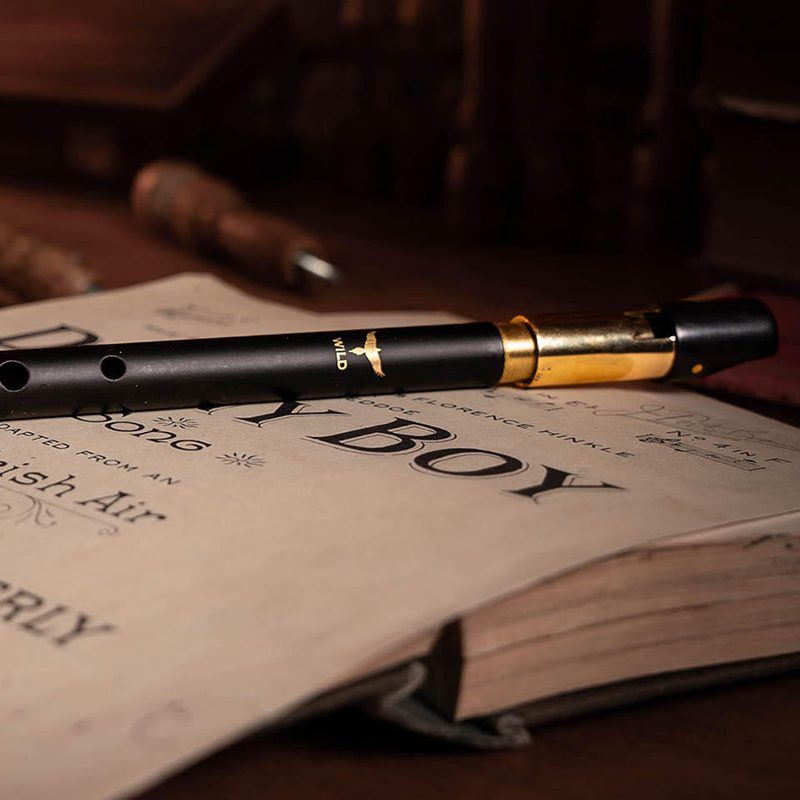 Wild Irish Whistle - Key Of A