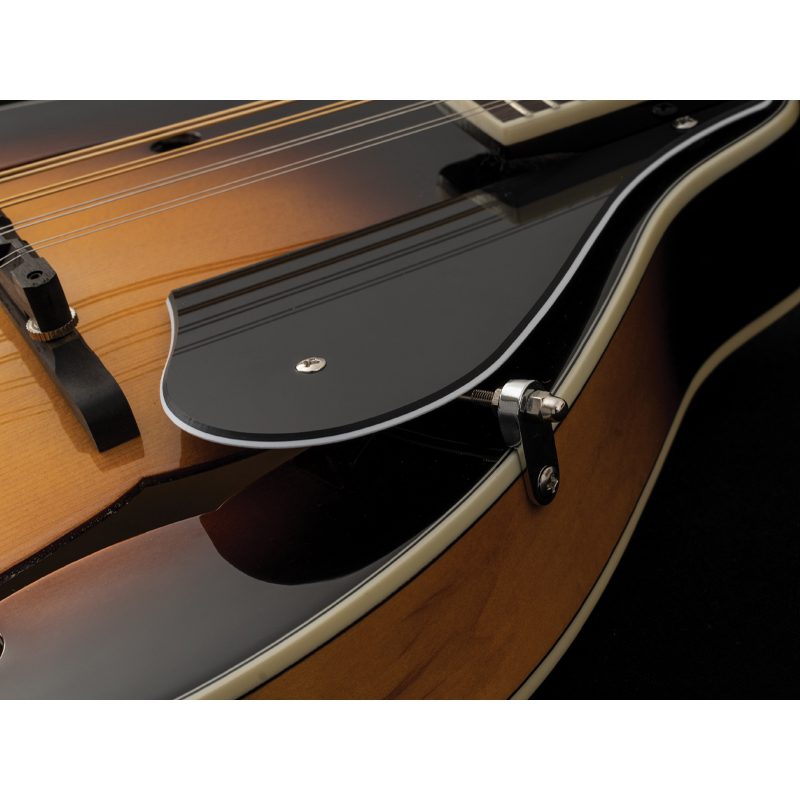 Washburn Americana M1 Mandolin Pack - Image 2