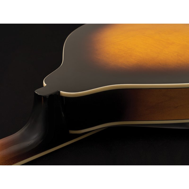 Washburn Americana M1 Mandolin Pack - Image 3
