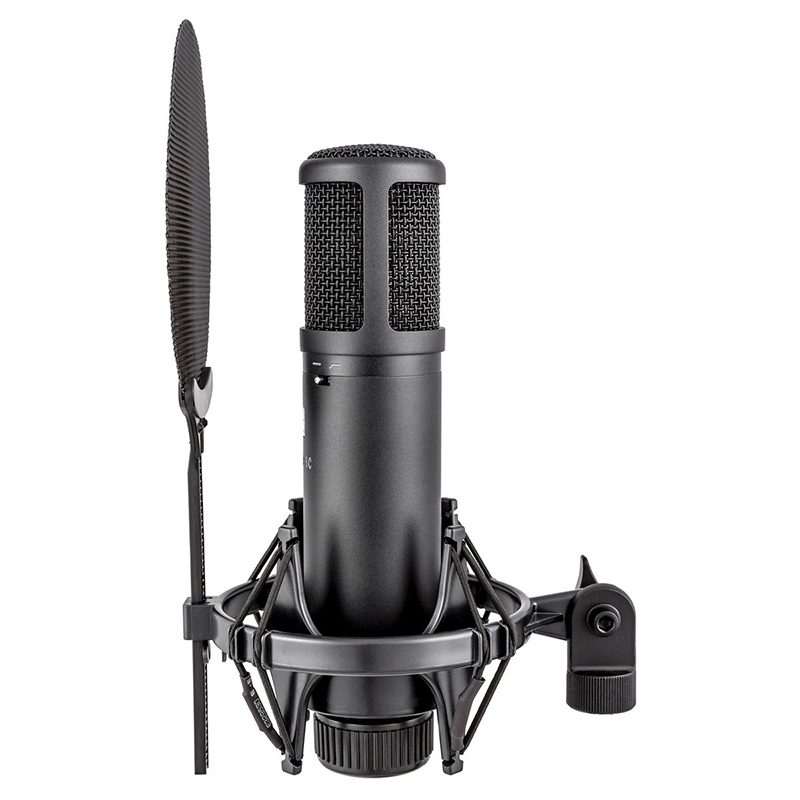 sE Electronics SE2200 - Large Diaphraghm Condenser Microphone - Image 7