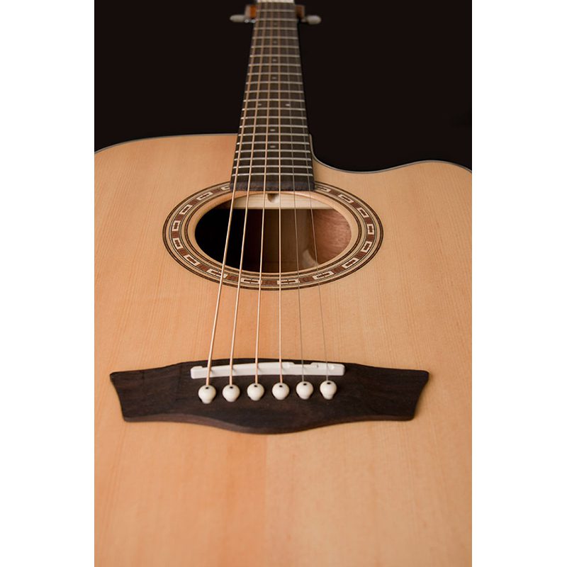 Washburn Harvest D7SCE Electro Acoustic - Image 5