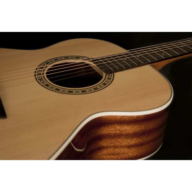 Washburn Harvest G7S - Image 7
