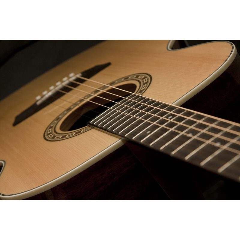 Washburn Harvest G7S - Image 6