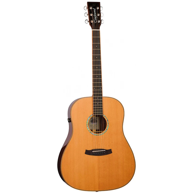 Tanglewood Rosewood Smart - TRS5SE