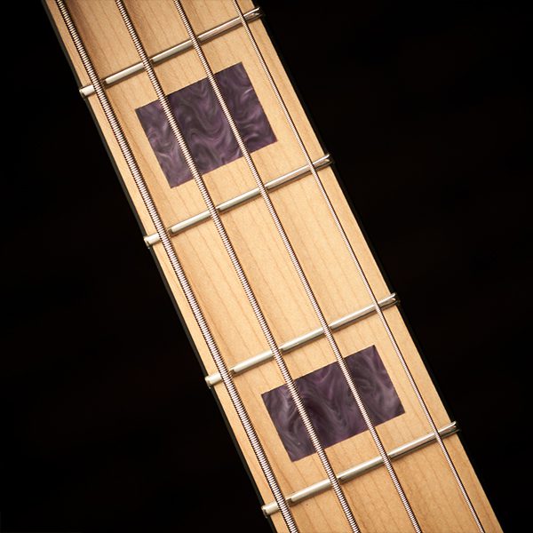 Spector NC-4 Frank Bello - Tina Rose - Image 7