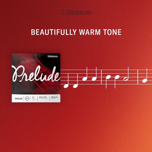 D'addario Prelude Viola C String - Long Scale - Medium - Image 2