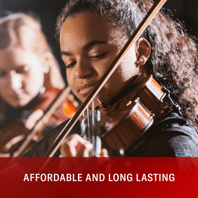 D'addario Prelude Viola C String - Long Scale - Medium - Image 5
